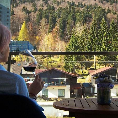 Maison Turquoise Sinaia Eksteriør billede